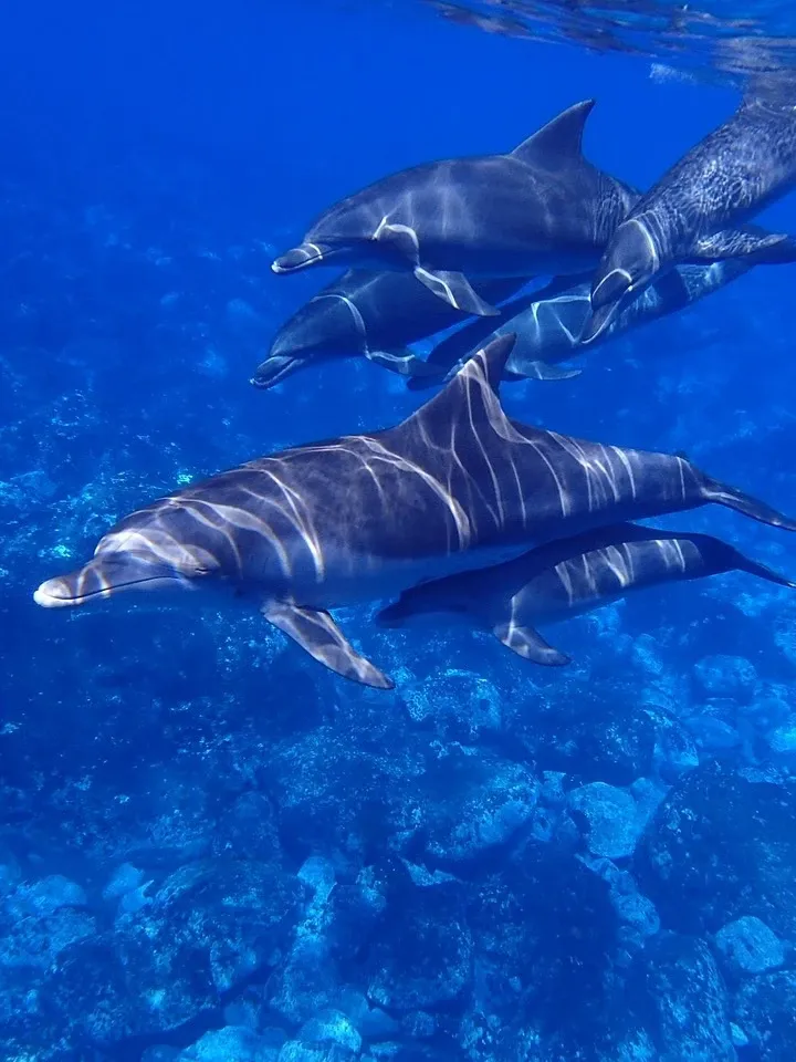 Apnea-academy-israel-00052