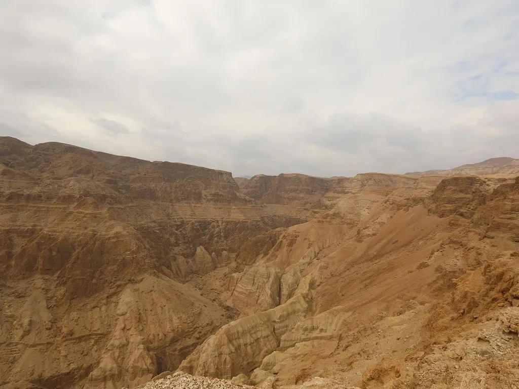 Apnea-academy-israel-00005