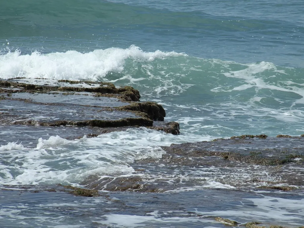 Apnea-academy-israel-00002